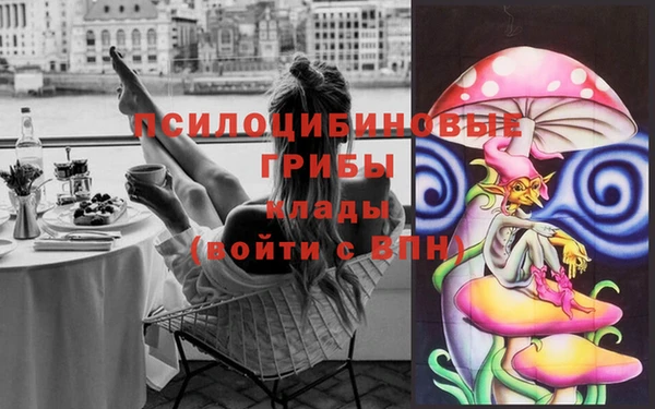 гашик Кукмор