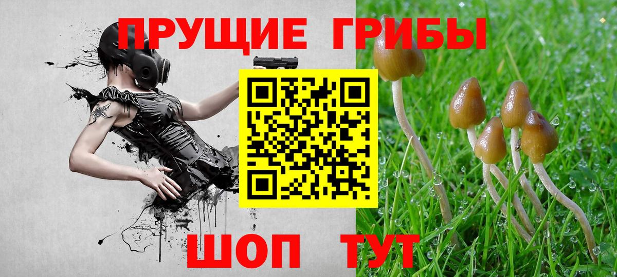 Псилоцибиновые грибы прущие грибы Малгобек
